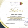 Ampliar imagen: certificate 8