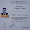 Ampliar imagen: certificate 2