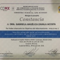 Ampliar imagen: certificate 2