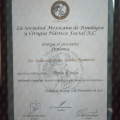 Ampliar imagen: certificate 2