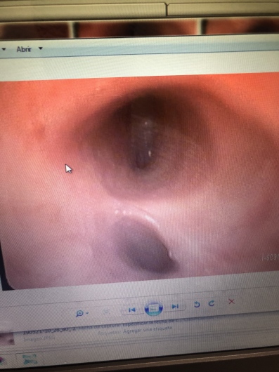 Carlos Alejandro De Alba De Lira-7