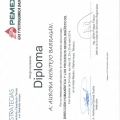 Ampliar imagen: certificate 27