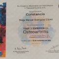 Ampliar imagen: certificate 6