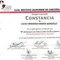 Ampliar imagen: certificate 3