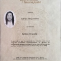 Ampliar imagen: certificate 5