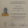Ampliar imagen: certificate 1