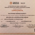 Ampliar imagen: certificate 7