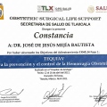 Ampliar imagen: certificate 36