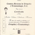Ampliar imagen: certificate 3