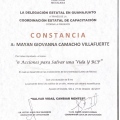 Ampliar imagen: certificate 3