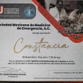 Ampliar imagen: certificate 12