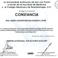 Ampliar imagen: certificate 25