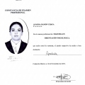 Ampliar imagen: certificate 9