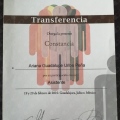 Ampliar imagen: certificate 2