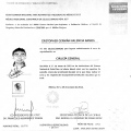 Ampliar imagen: certificate 11