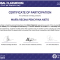Ampliar imagen: certificate 5