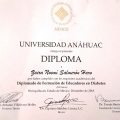 Ampliar imagen: certificate 3