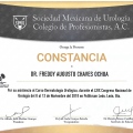 Ampliar imagen: certificate 20