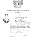 Ampliar imagen: certificate 6