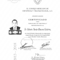 Ampliar imagen: certificate 5
