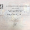 Ampliar imagen: certificate 21