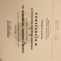 Ampliar imagen: certificate 9
