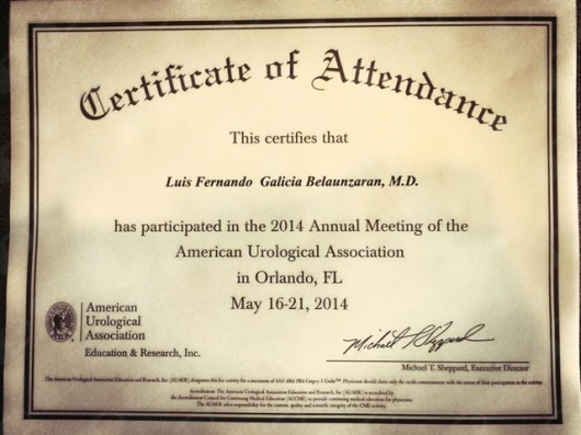 Luis Fernando Galicia Belaunzarán-11