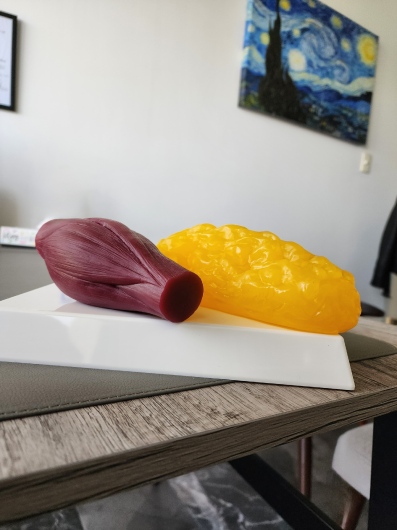 Marcela Estaragués Ita-1