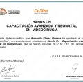 Ampliar imagen: certificate 6