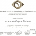 Ampliar imagen: certificate 5