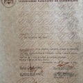 Ampliar imagen: certificate 53