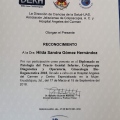 Ampliar imagen: certificate 29