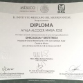 Ampliar imagen: certificate 3