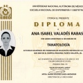 Ampliar imagen: certificate 21