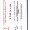 Ampliar imagen: certificate 7