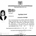 Ampliar imagen: certificate 11