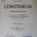 Ampliar imagen: certificate 7