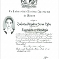 Ampliar imagen: certificate 3