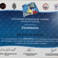 Ampliar imagen: certificate 8