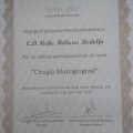 Ampliar imagen: certificate 9