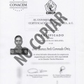 Ampliar imagen: certificate 3