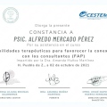 Ampliar imagen: certificate 3