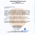 Ampliar imagen: certificate 116