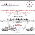 Ampliar imagen: certificate 2