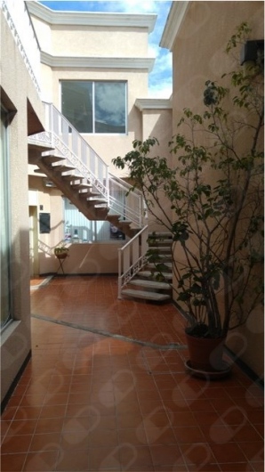 Noemí Gálvez Bernal-12