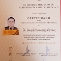 Ampliar imagen: certificate 3