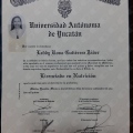 Ampliar imagen: certificate 41