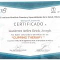 Ampliar imagen: certificate 6