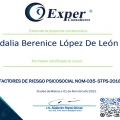 Ampliar imagen: certificate 2