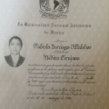 Ampliar imagen: certificate 3